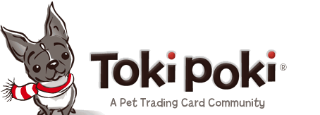 Toki Poki
