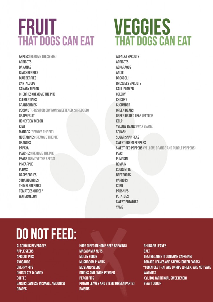 Fruits & Veggies for Dogs